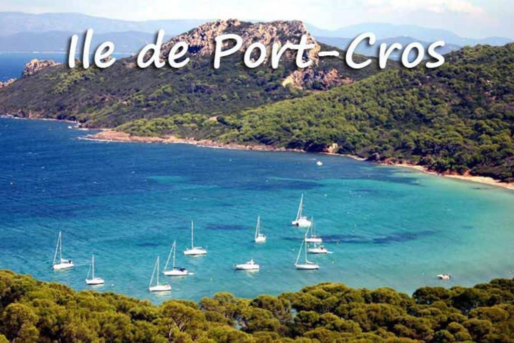 Studio Port De Hyeres Proche Des Plages Экстерьер фото